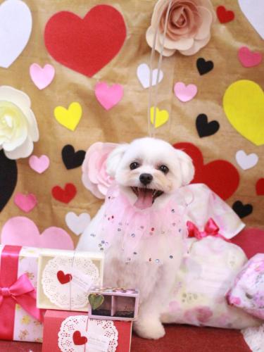 20230210うるちゃん